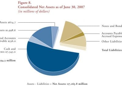 Figure 8. Consolidated Net Assets as of June 30, 2007 (in millions of dollars)