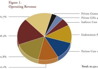 Figure 1. Operating Revenue